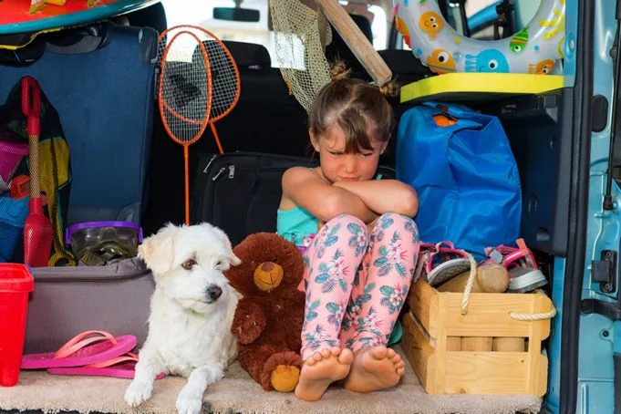 Nouvelles lois : ce qui change à la rentrée pour les automobilistes Rentrée auto 2019